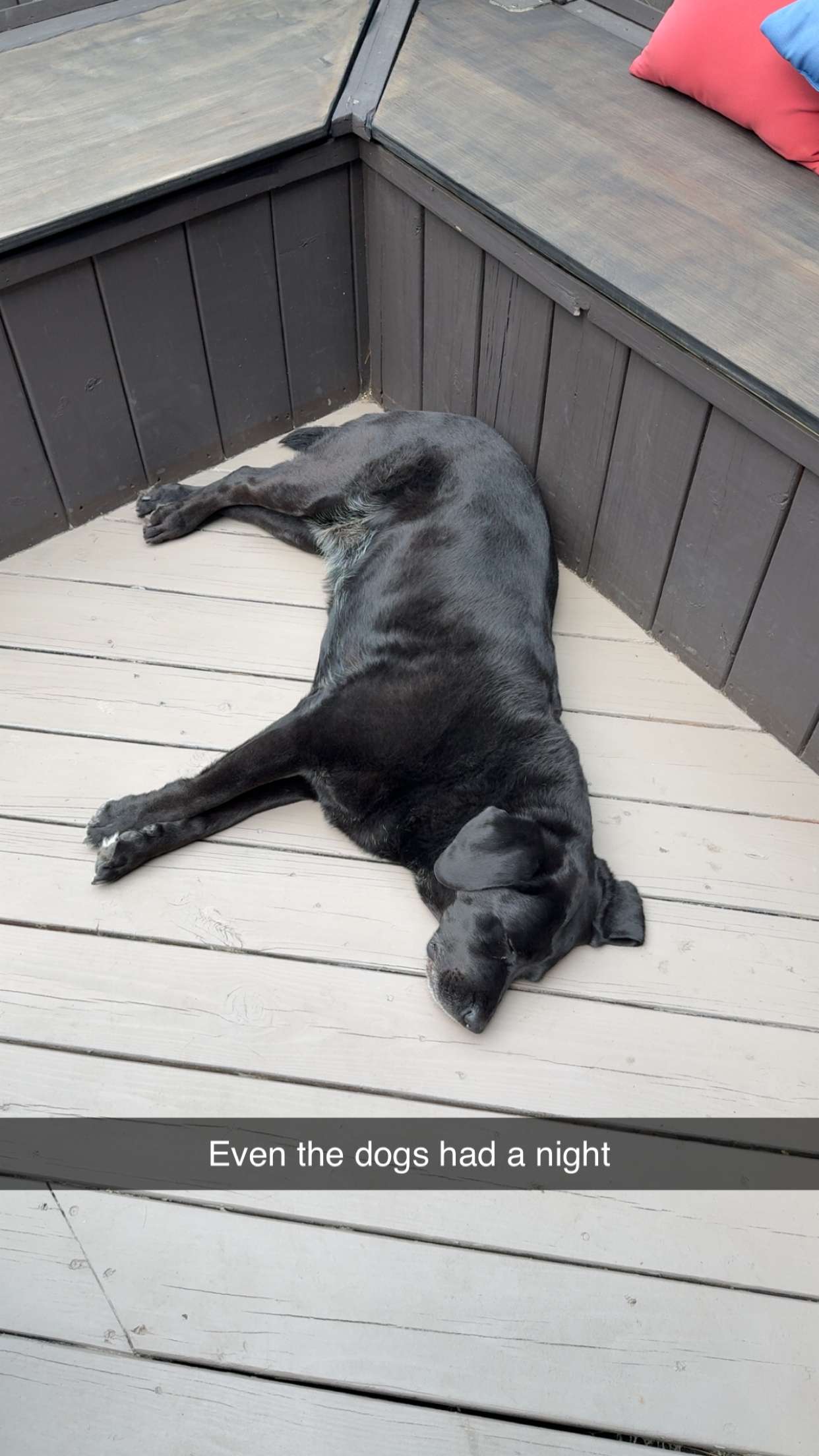 kayleedolisi snapchat image archive image