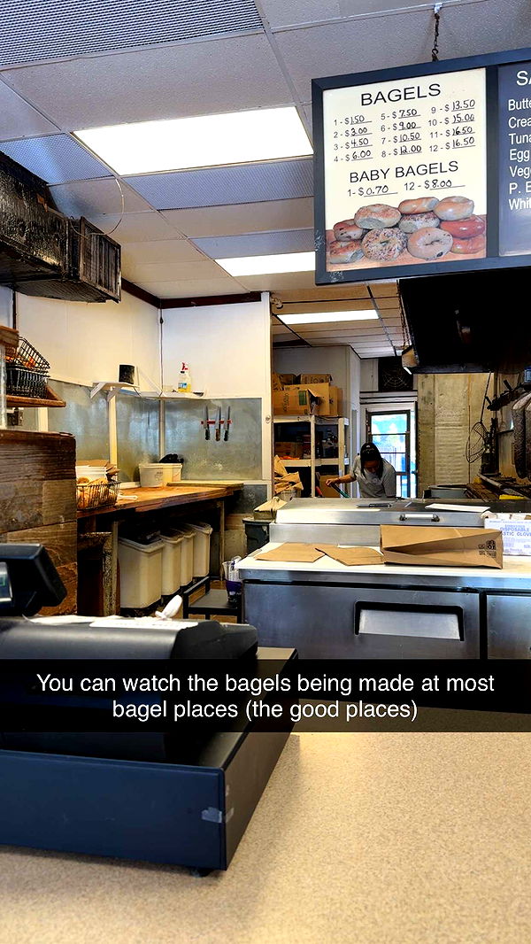 kayleedolisi image ~ Altpins