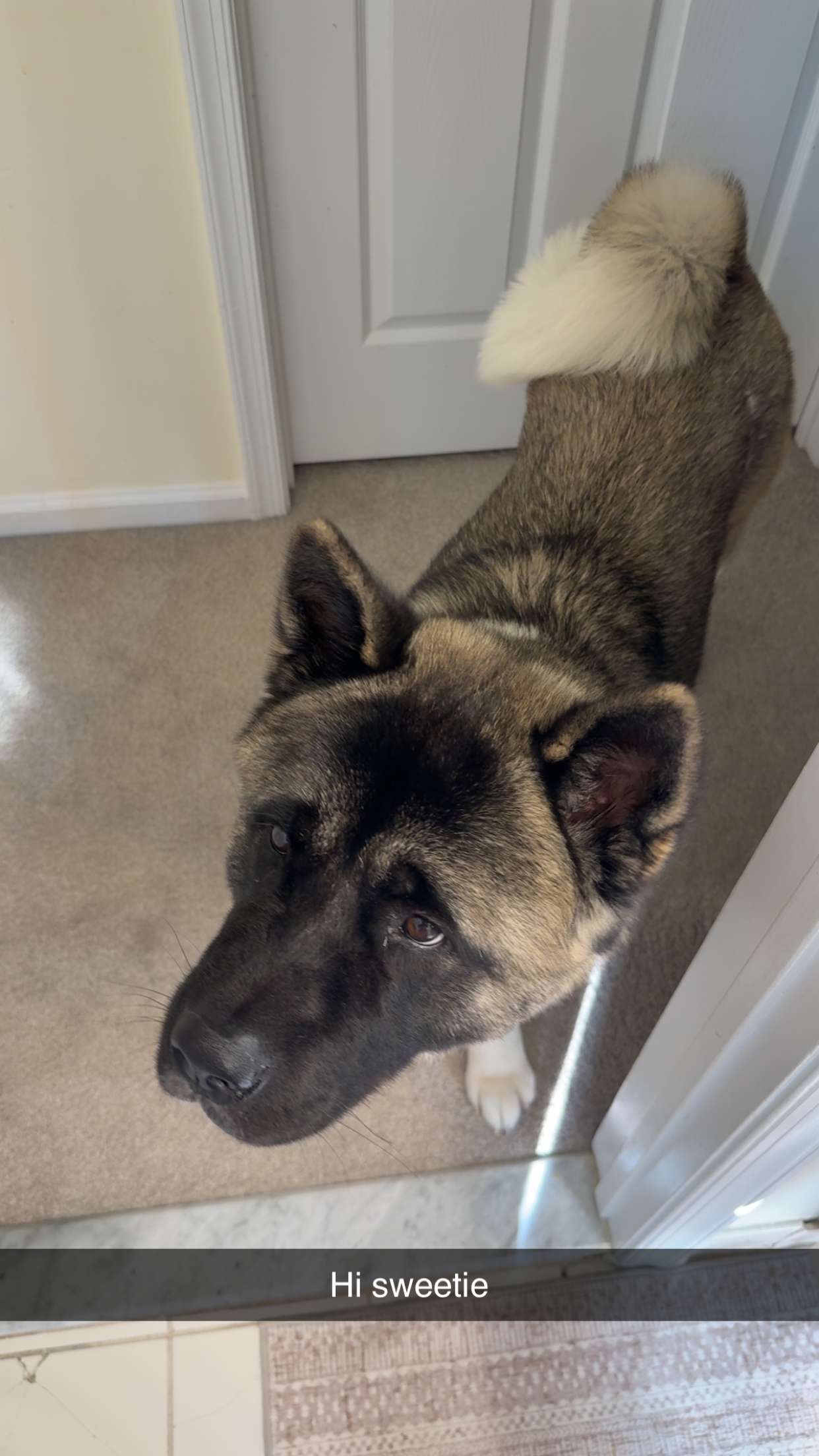 kayleedolisi snapchat image archive image