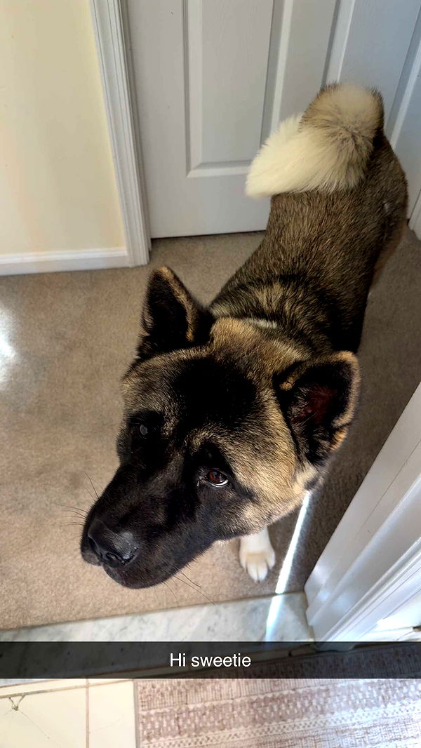 kayleedolisi image ~ Altpins