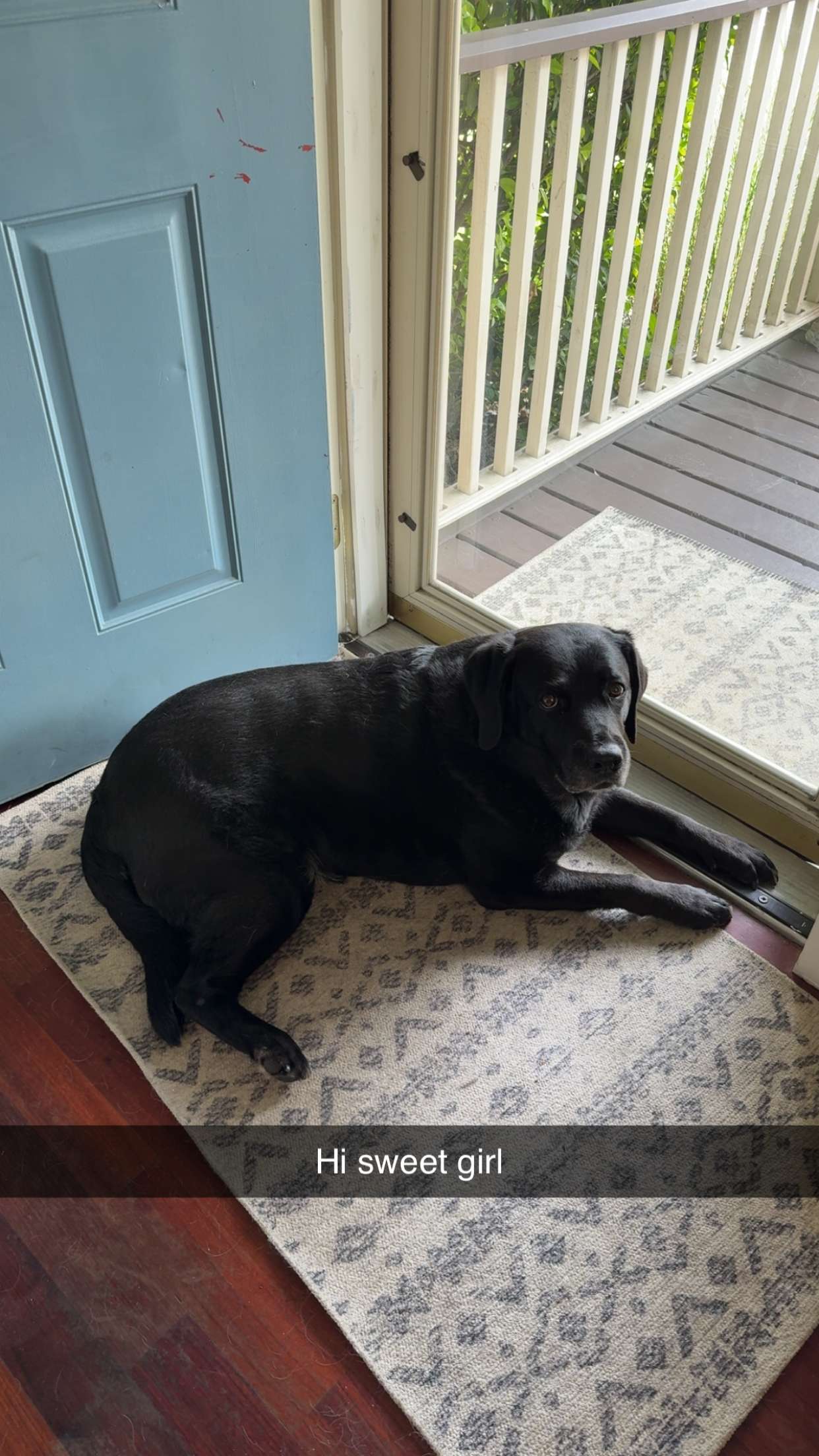 kayleedolisi snapchat image archive image