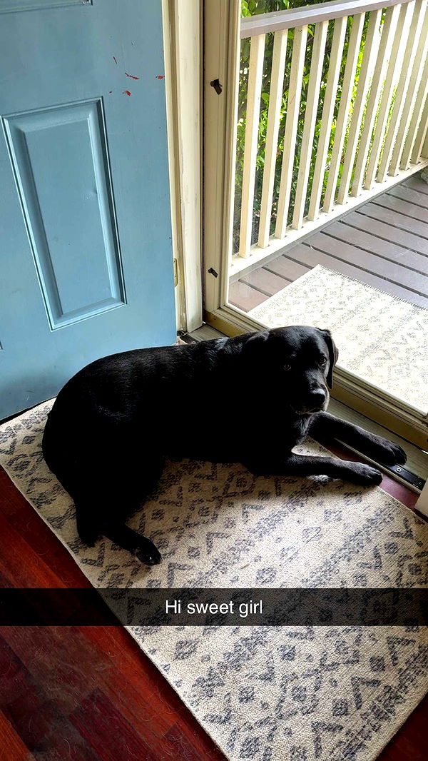 kayleedolisi image ~ Altpins