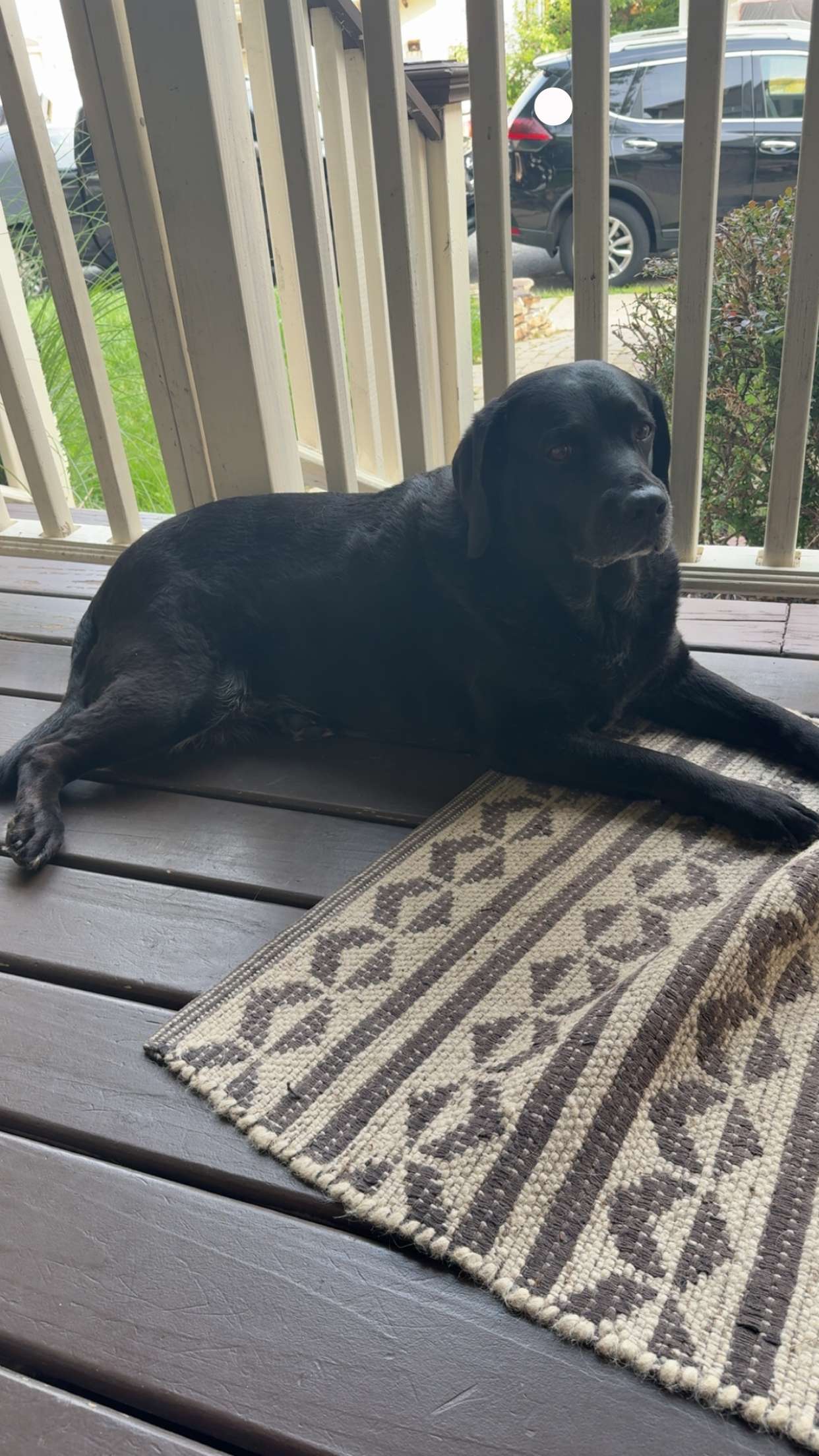 kayleedolisi snapchat image archive image