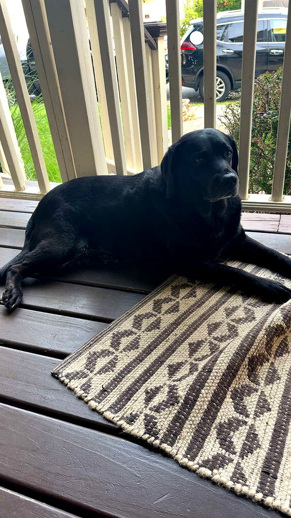 kayleedolisi image ~ Altpins