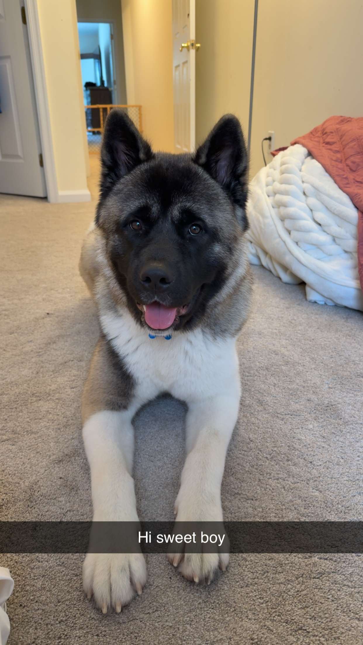 kayleedolisi snapchat image archive image