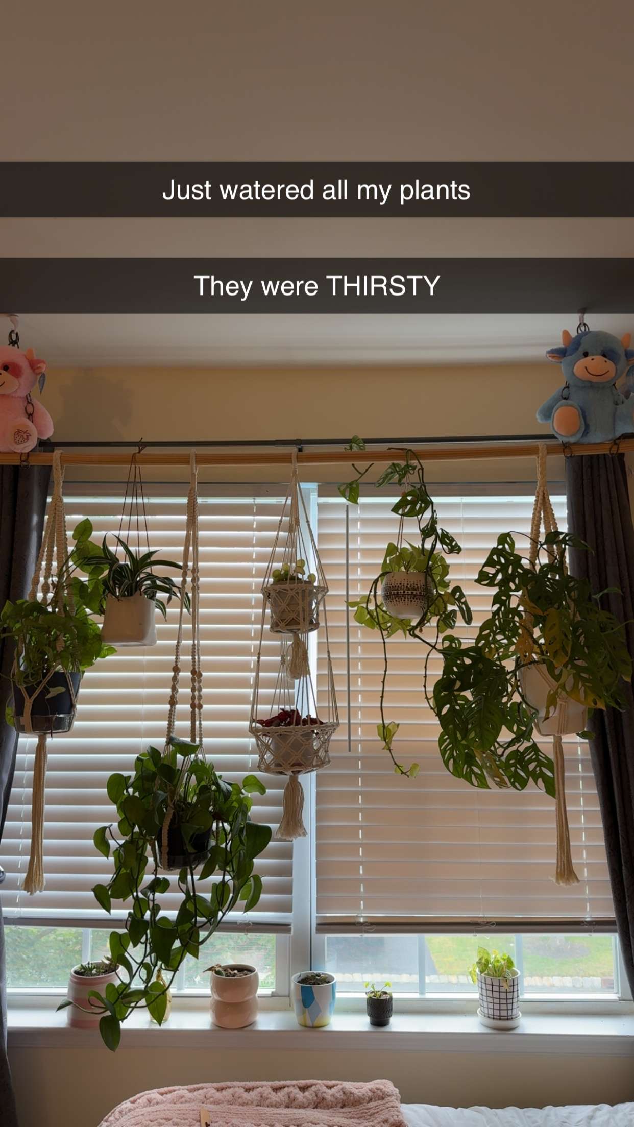 kayleedolisi snapchat image archive image