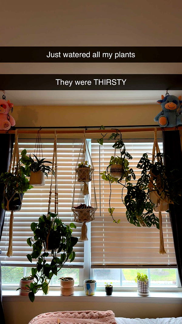 kayleedolisi image ~ Altpins