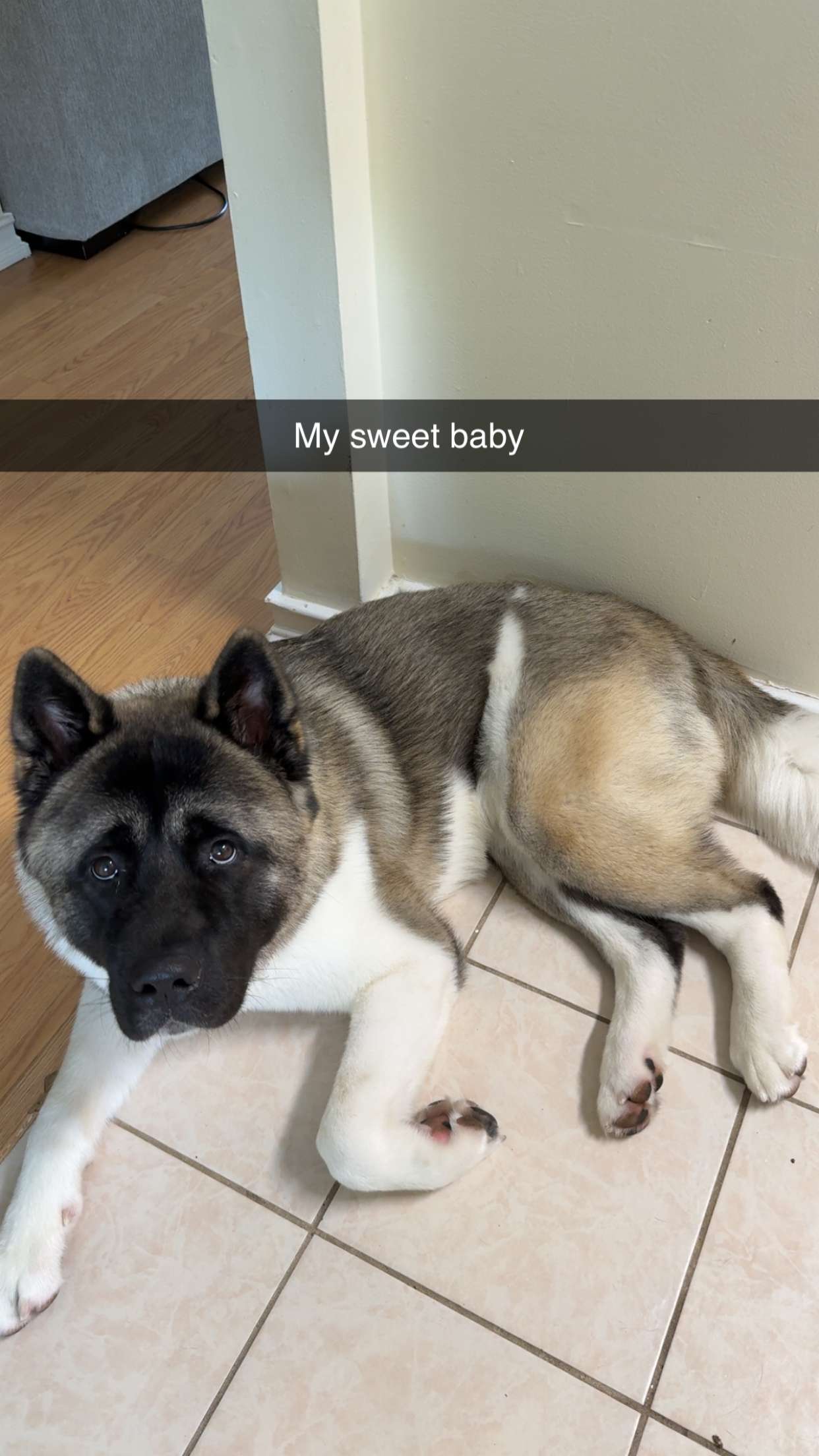 kayleedolisi snapchat image archive image