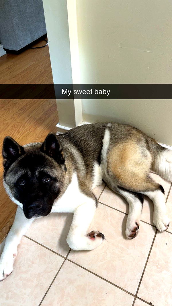 kayleedolisi image ~ Altpins