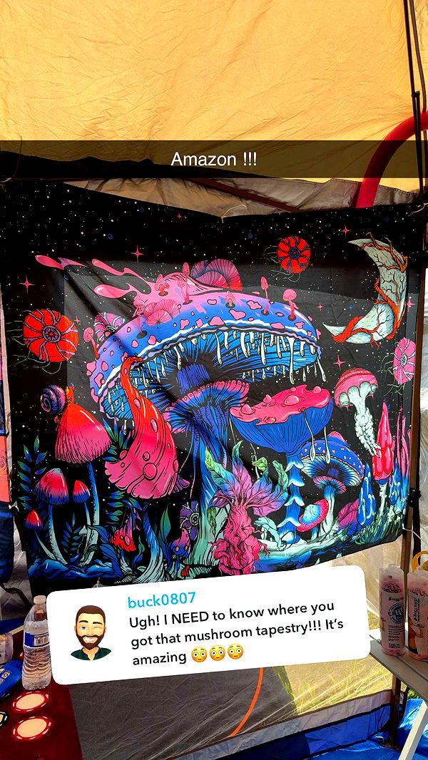 kayleedolisi image ~ Altpins