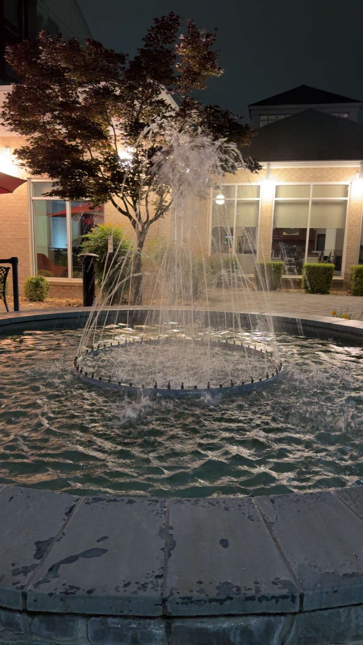 kayleedolisi snapchat image archive image