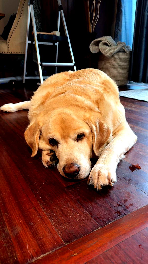 kayleedolisi image ~ Altpins