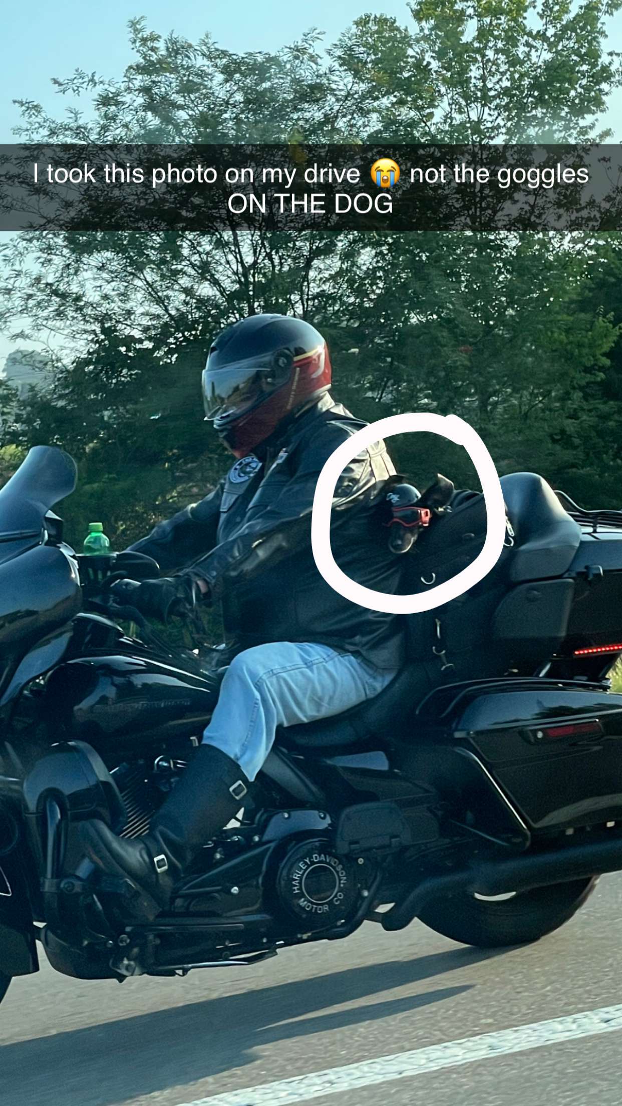 kayleedolisi snapchat image archive image