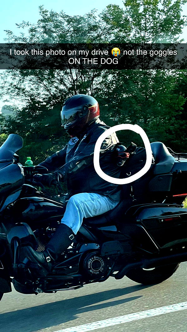 kayleedolisi image ~ Altpins