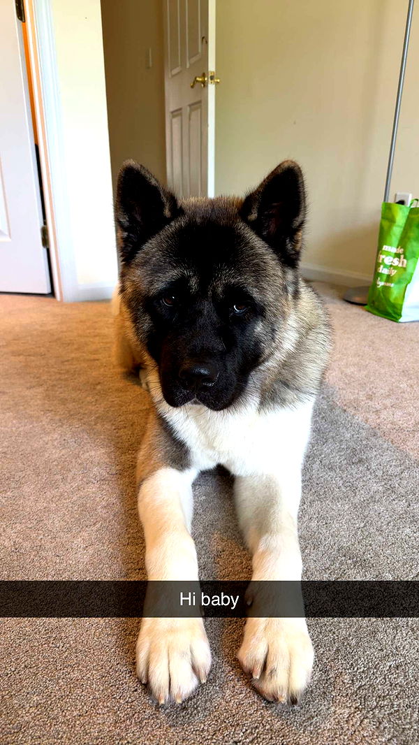 kayleedolisi image ~ Altpins