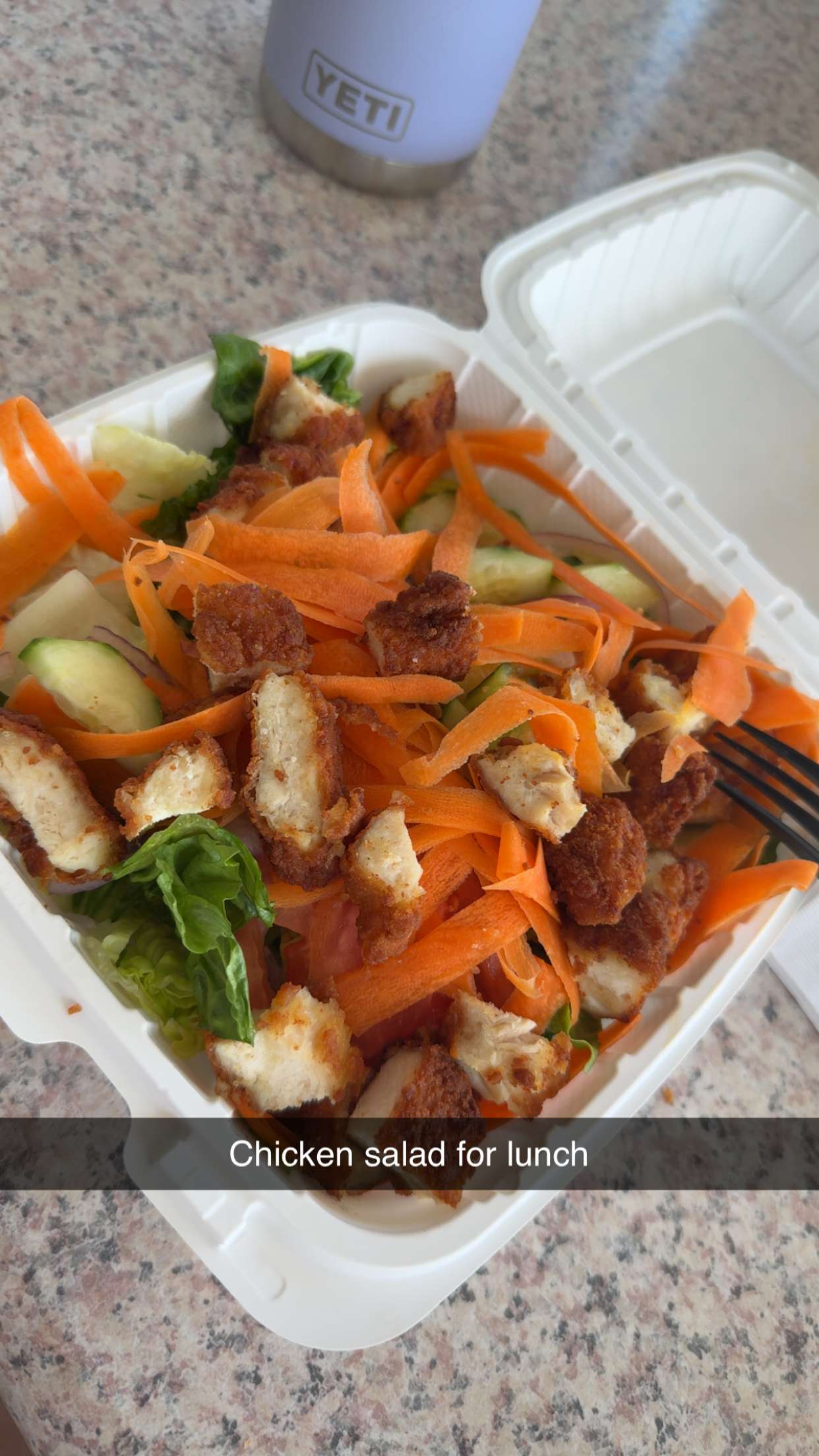 kayleedolisi snapchat image archive image