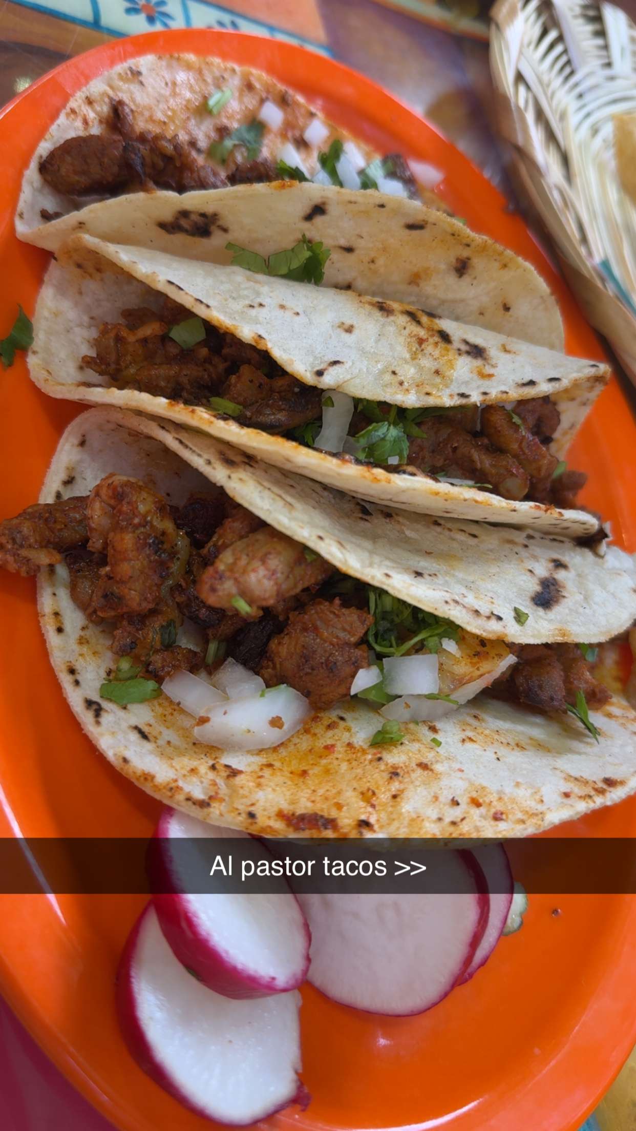 kayleedolisi snapchat image archive image