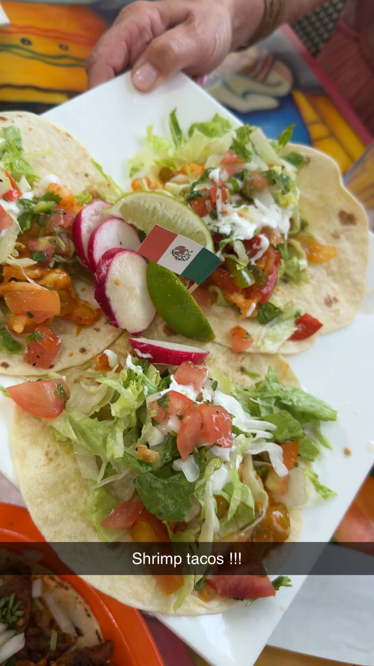 kayleedolisi snapchat image archive image