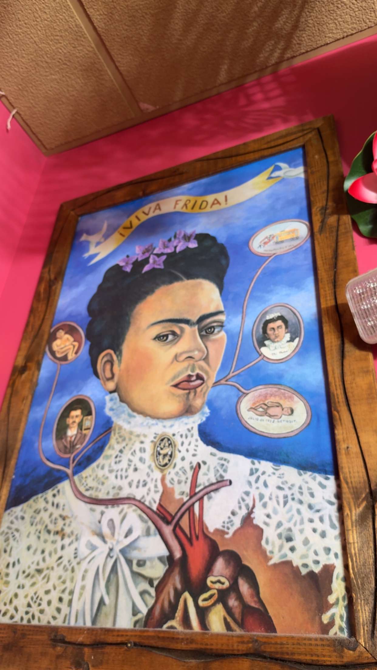 kayleedolisi snapchat image archive image