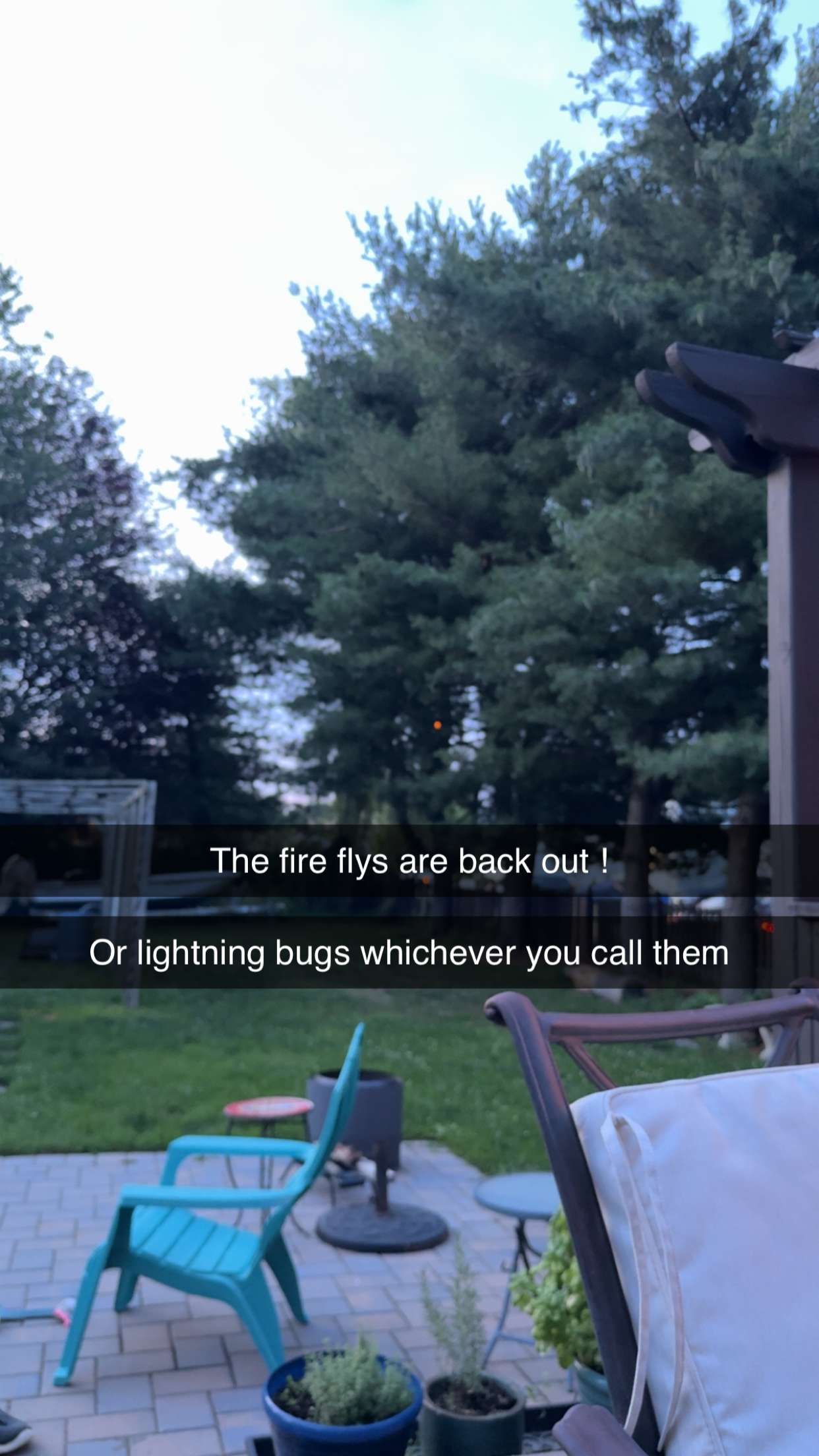 kayleedolisi snapchat image archive image