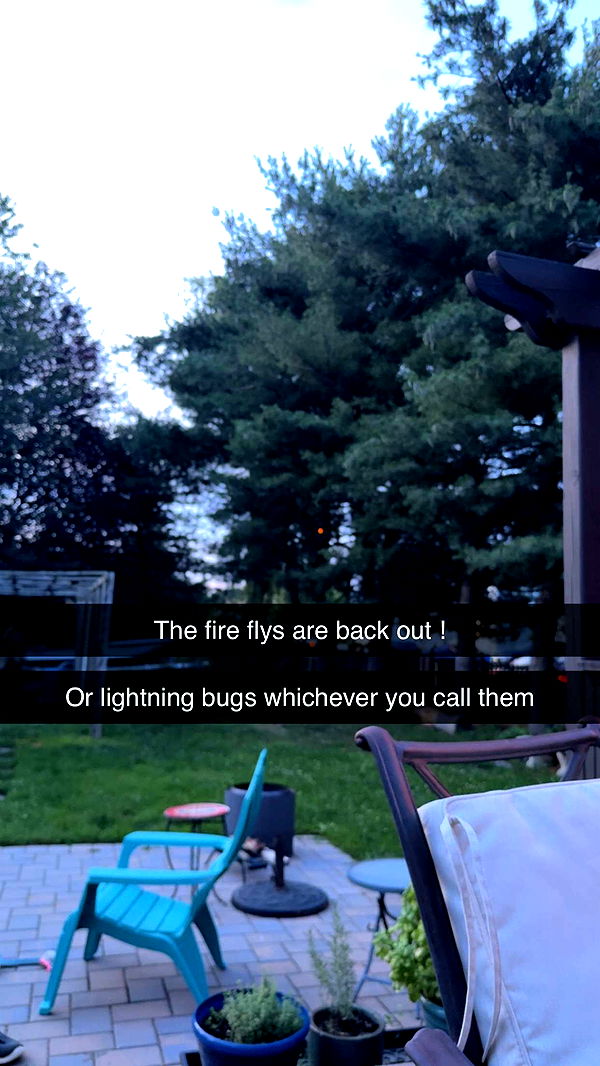 kayleedolisi image ~ Altpins