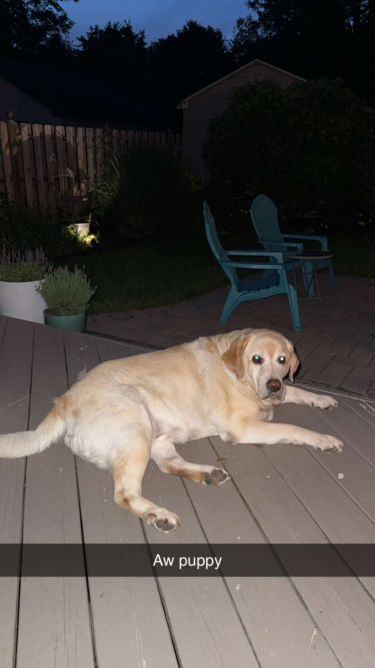 kayleedolisi snapchat image archive image