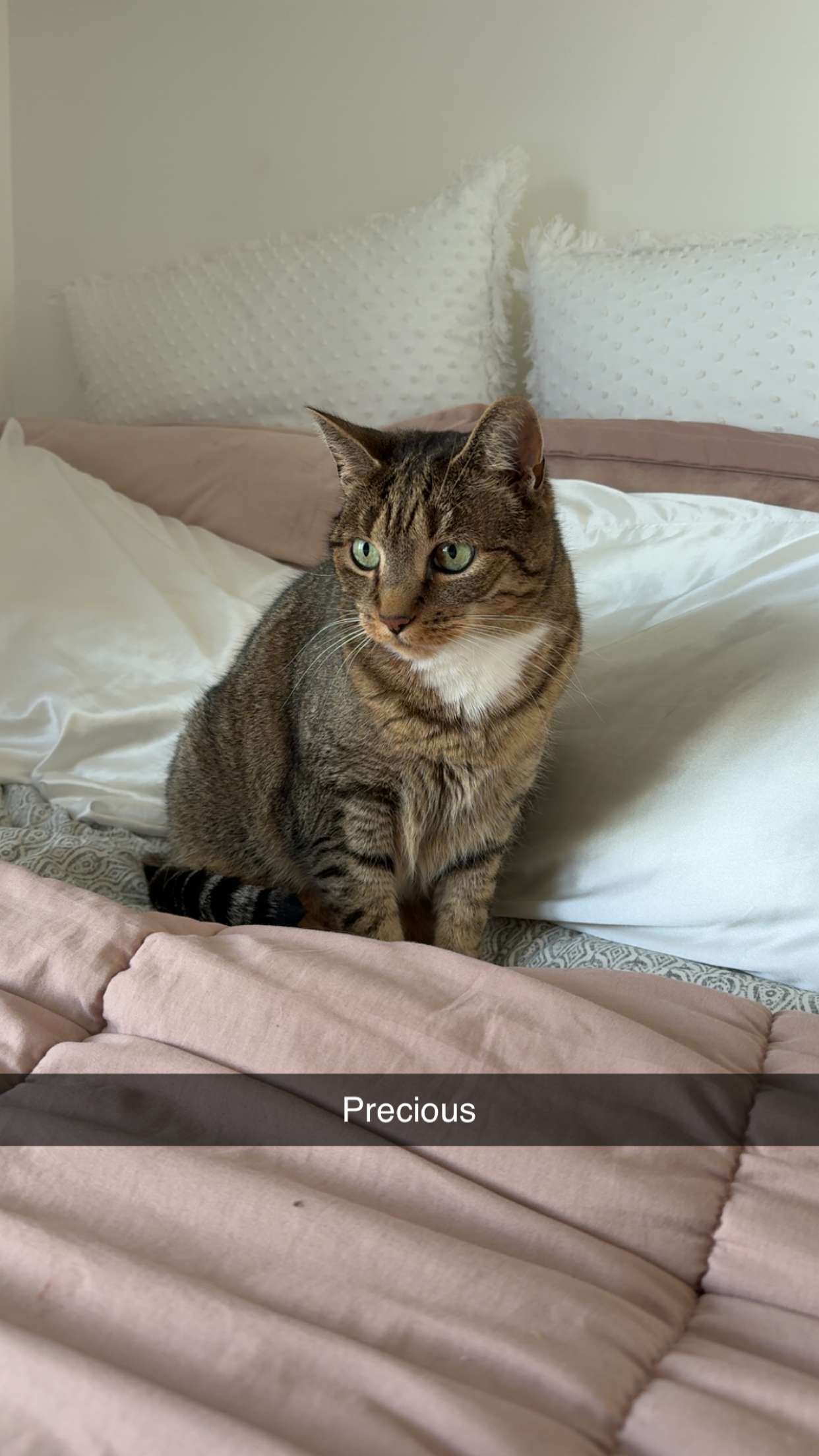 kayleedolisi snapchat image archive image