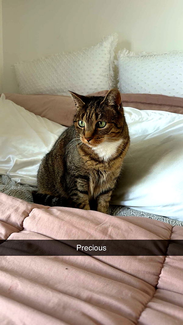 kayleedolisi image ~ Altpins