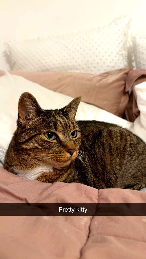 kayleedolisi image ~ Altpins