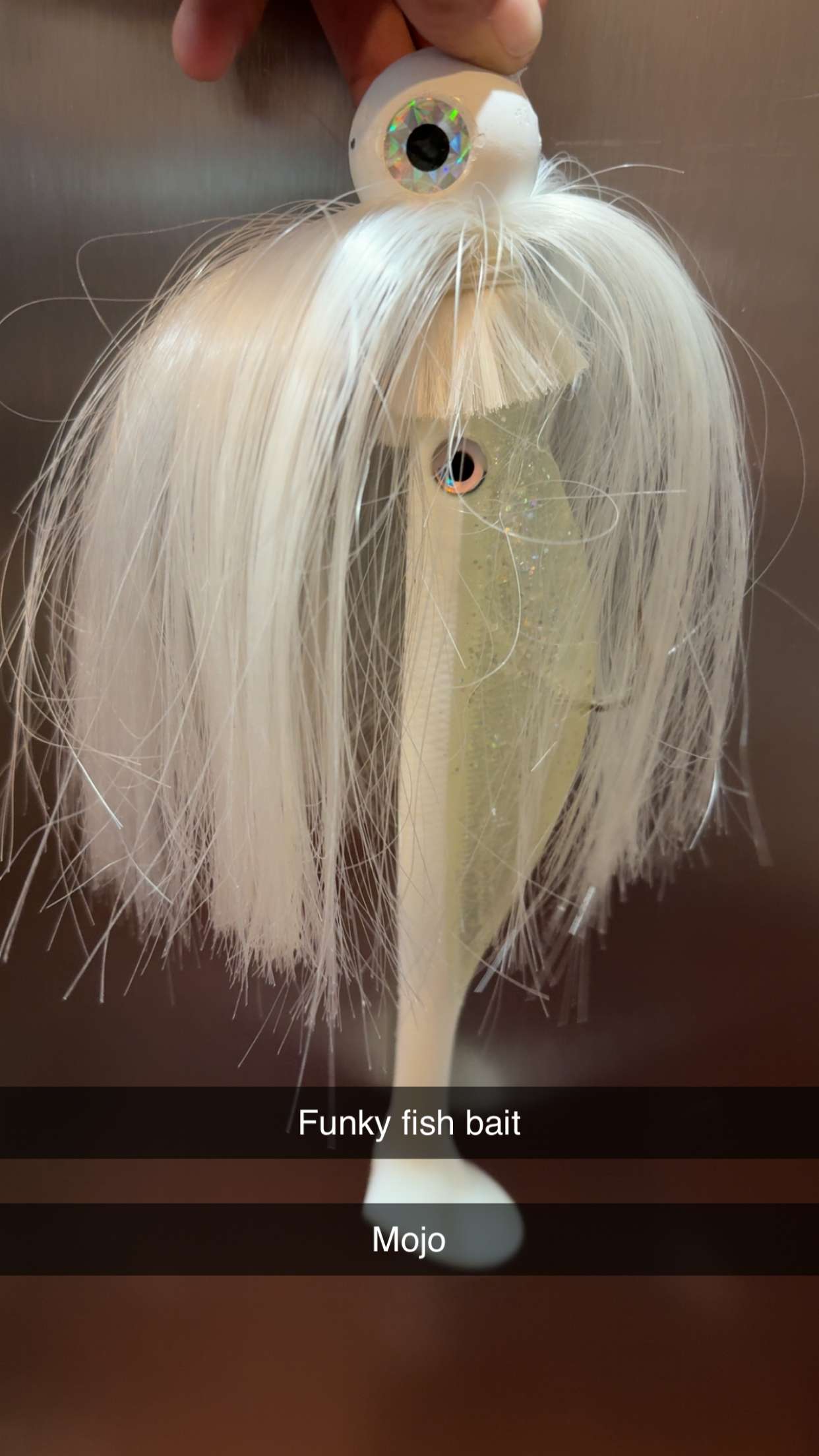 kayleedolisi snapchat image archive image