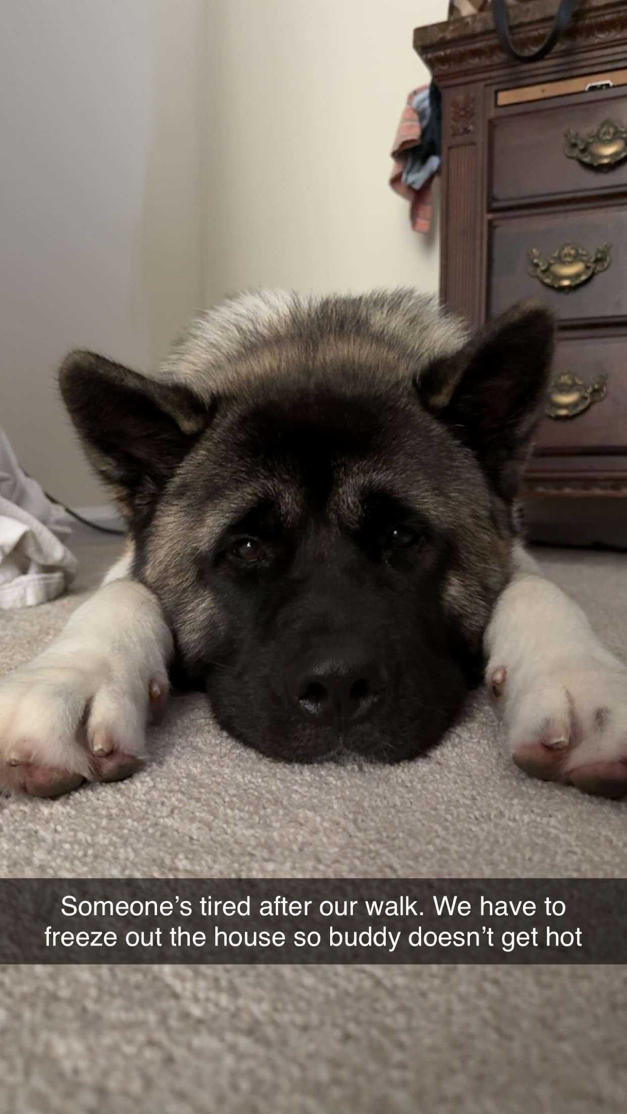 kayleedolisi snapchat image archive image