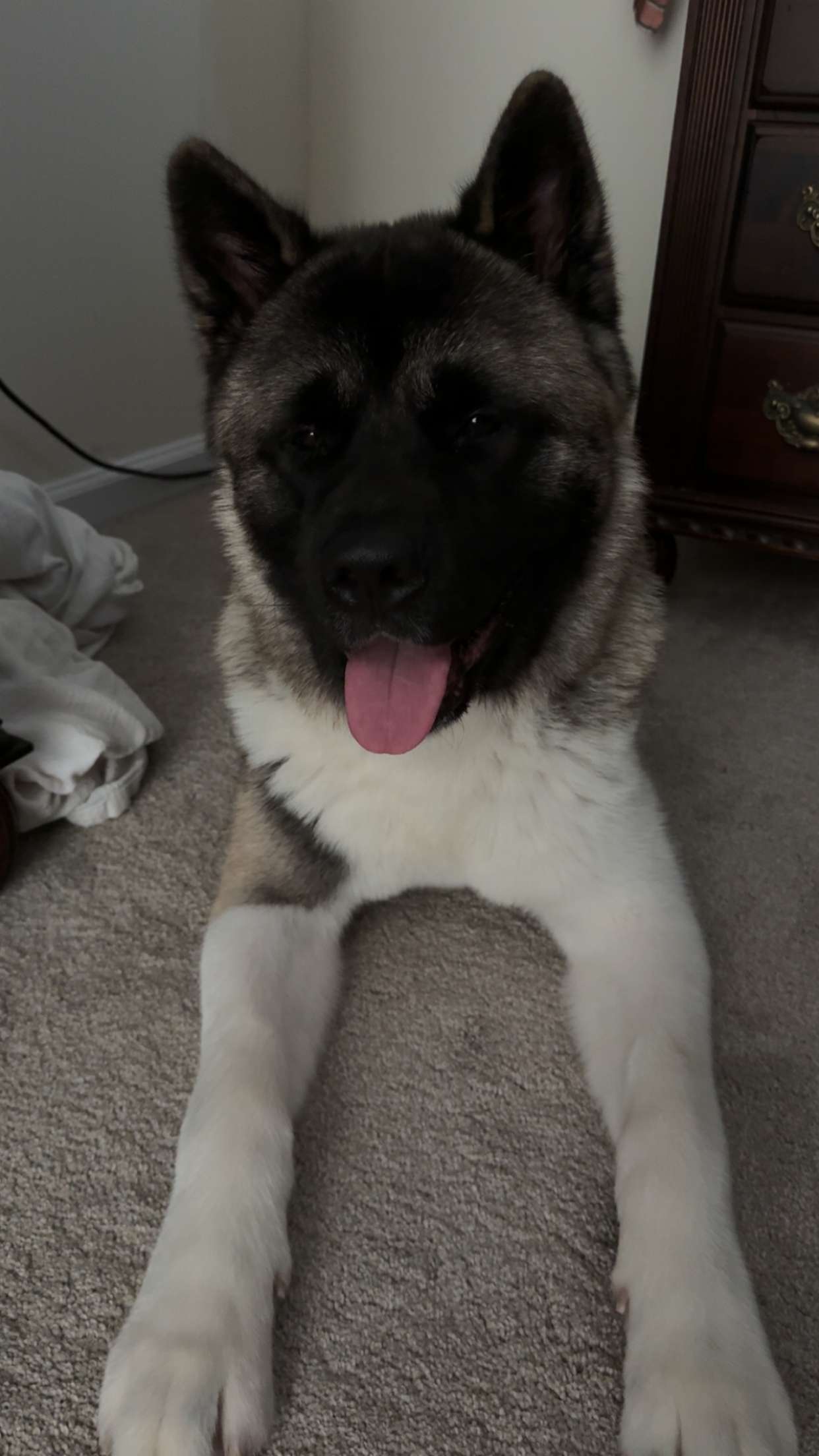 kayleedolisi snapchat image archive image