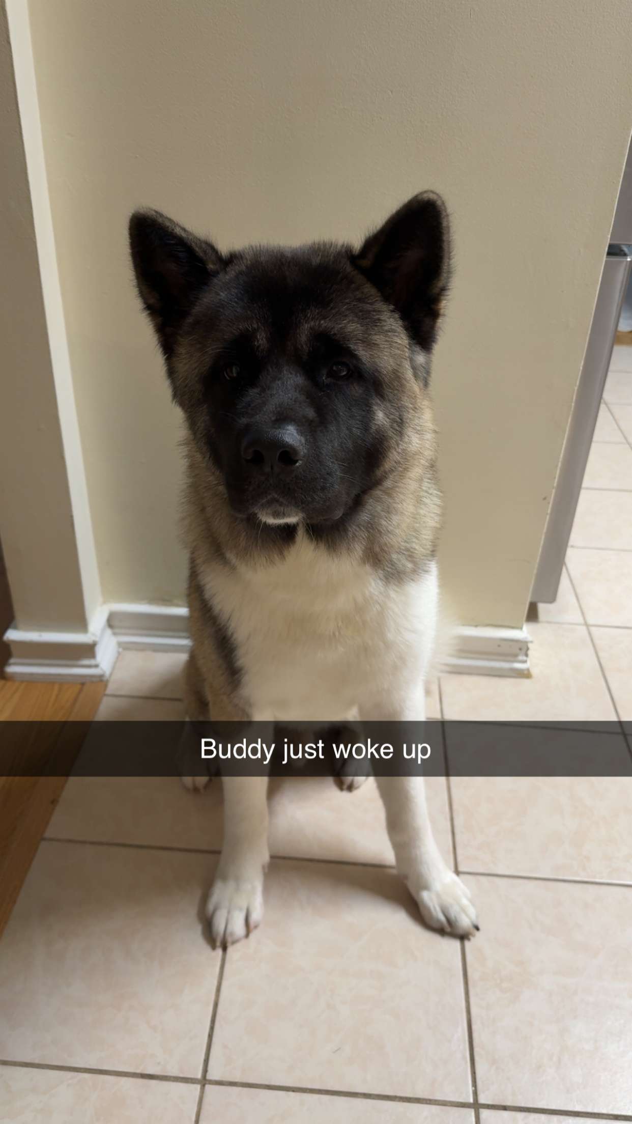 kayleedolisi snapchat image archive image