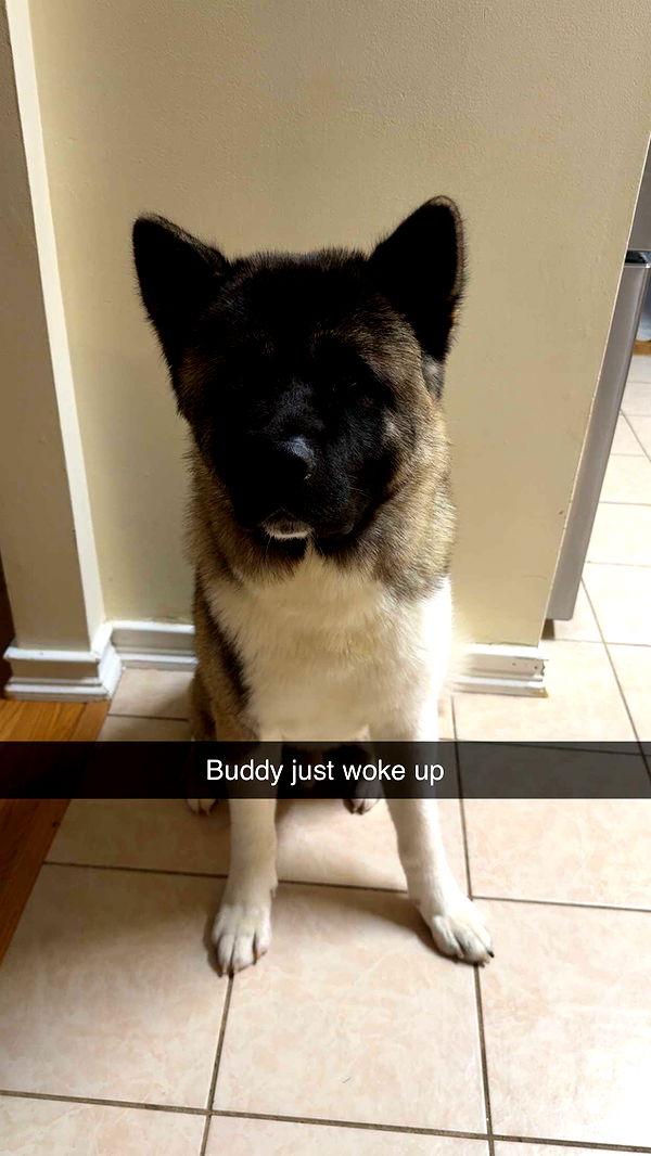 kayleedolisi image ~ Altpins