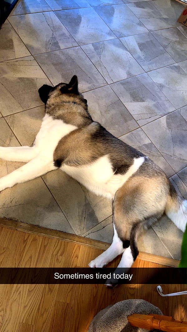 kayleedolisi image ~ Altpins