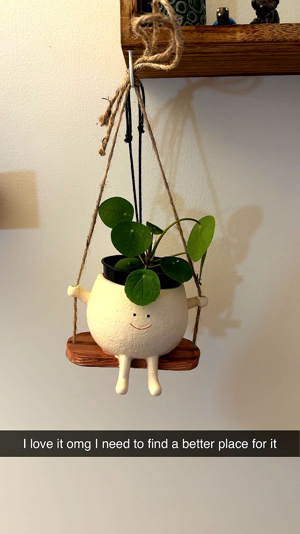 kayleedolisi image ~ Altpins