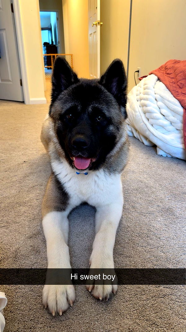 kayleedolisi image ~ Altpins