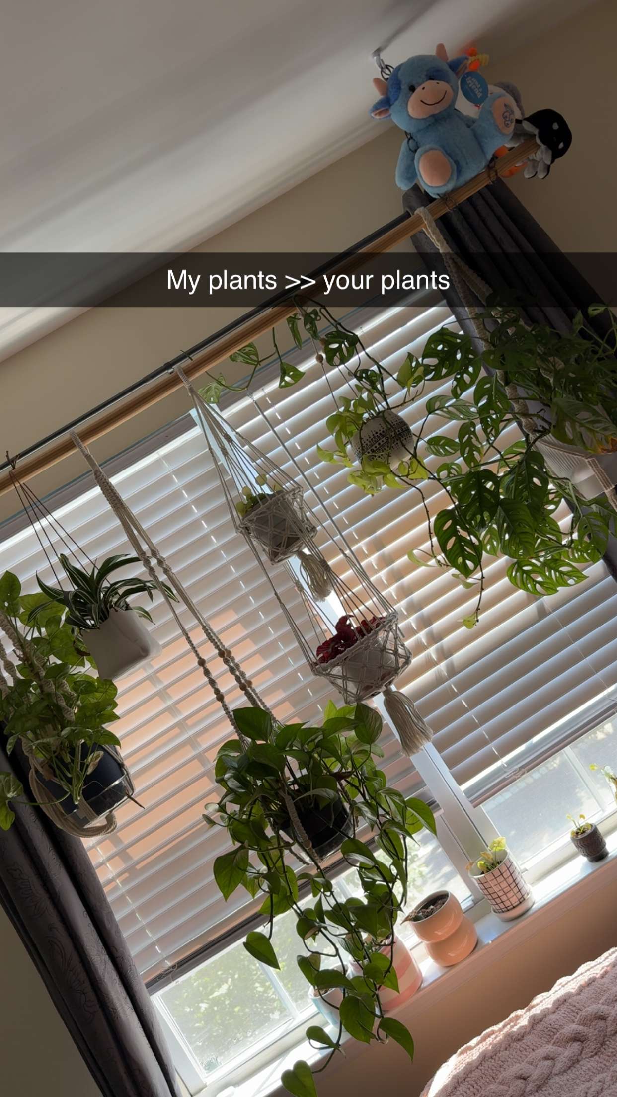 kayleedolisi snapchat image archive image