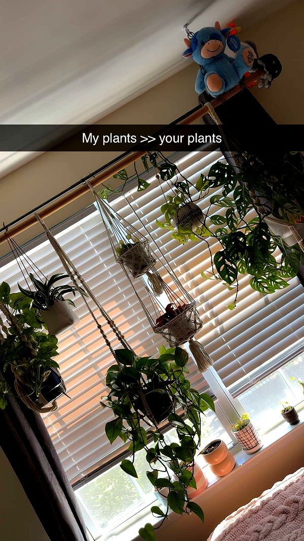 kayleedolisi image ~ Altpins