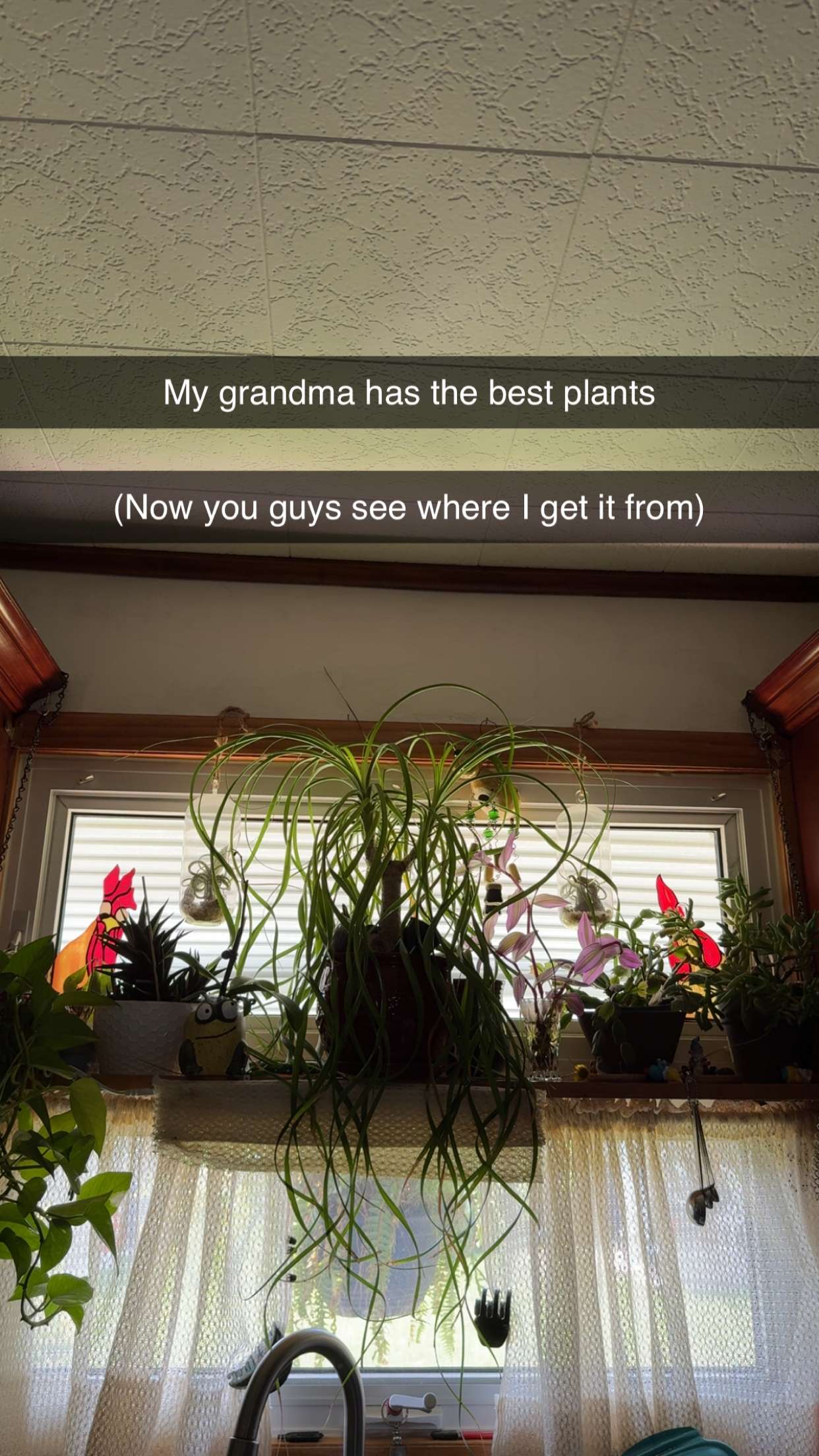 kayleedolisi snapchat image archive image