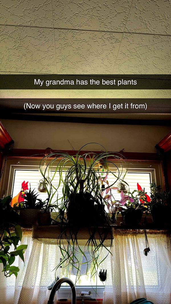 kayleedolisi image ~ Altpins