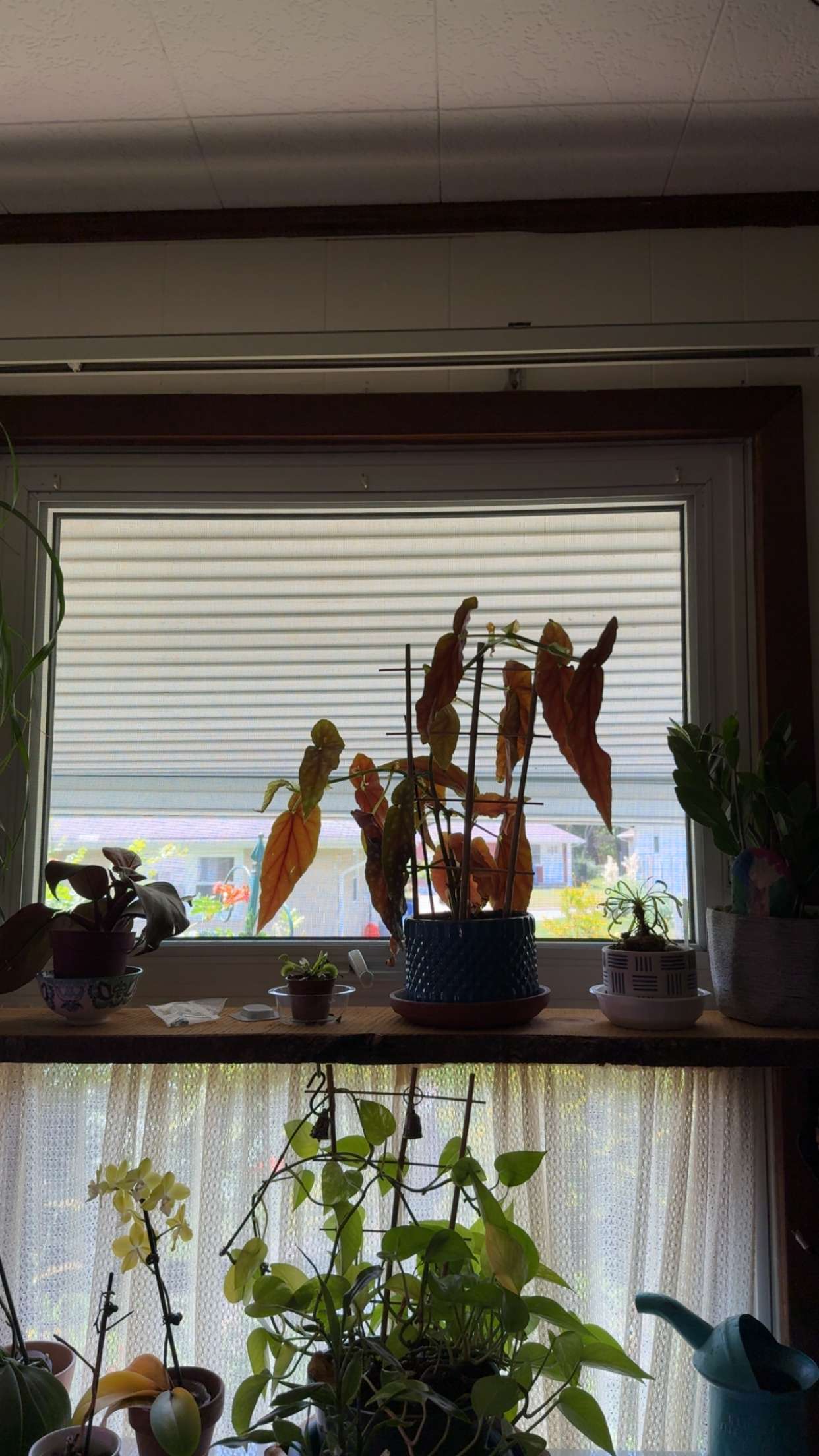 kayleedolisi snapchat image archive image