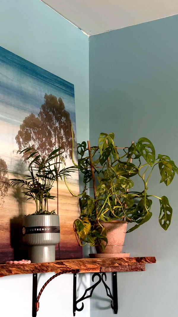 kayleedolisi image ~ Altpins