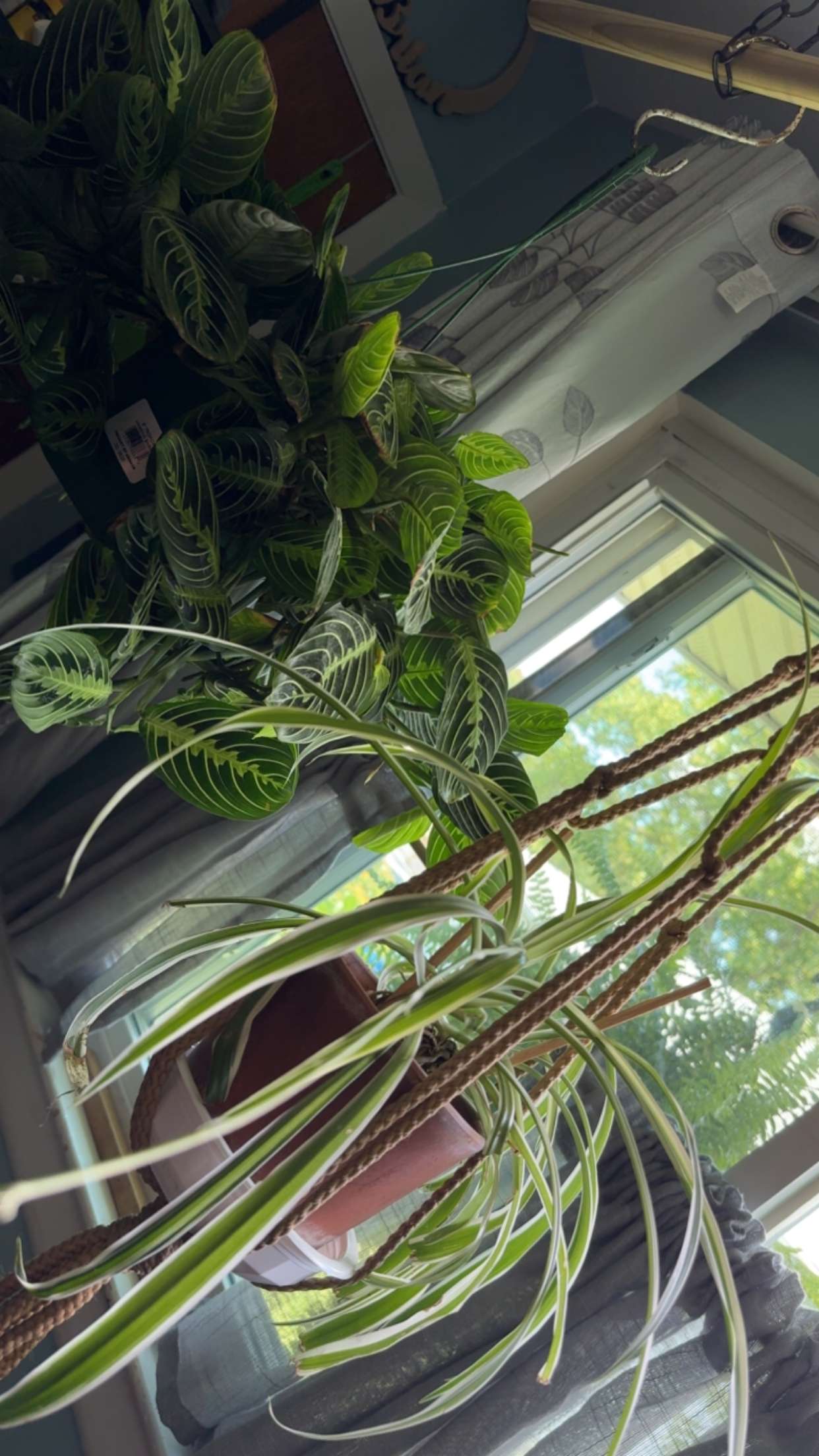 kayleedolisi snapchat image archive image