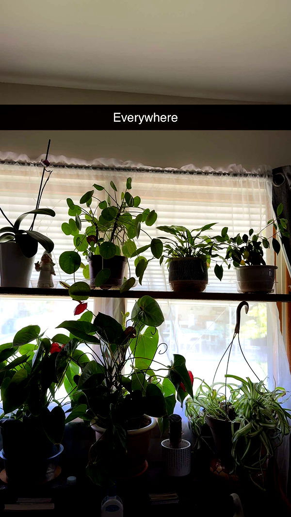 kayleedolisi image ~ Altpins