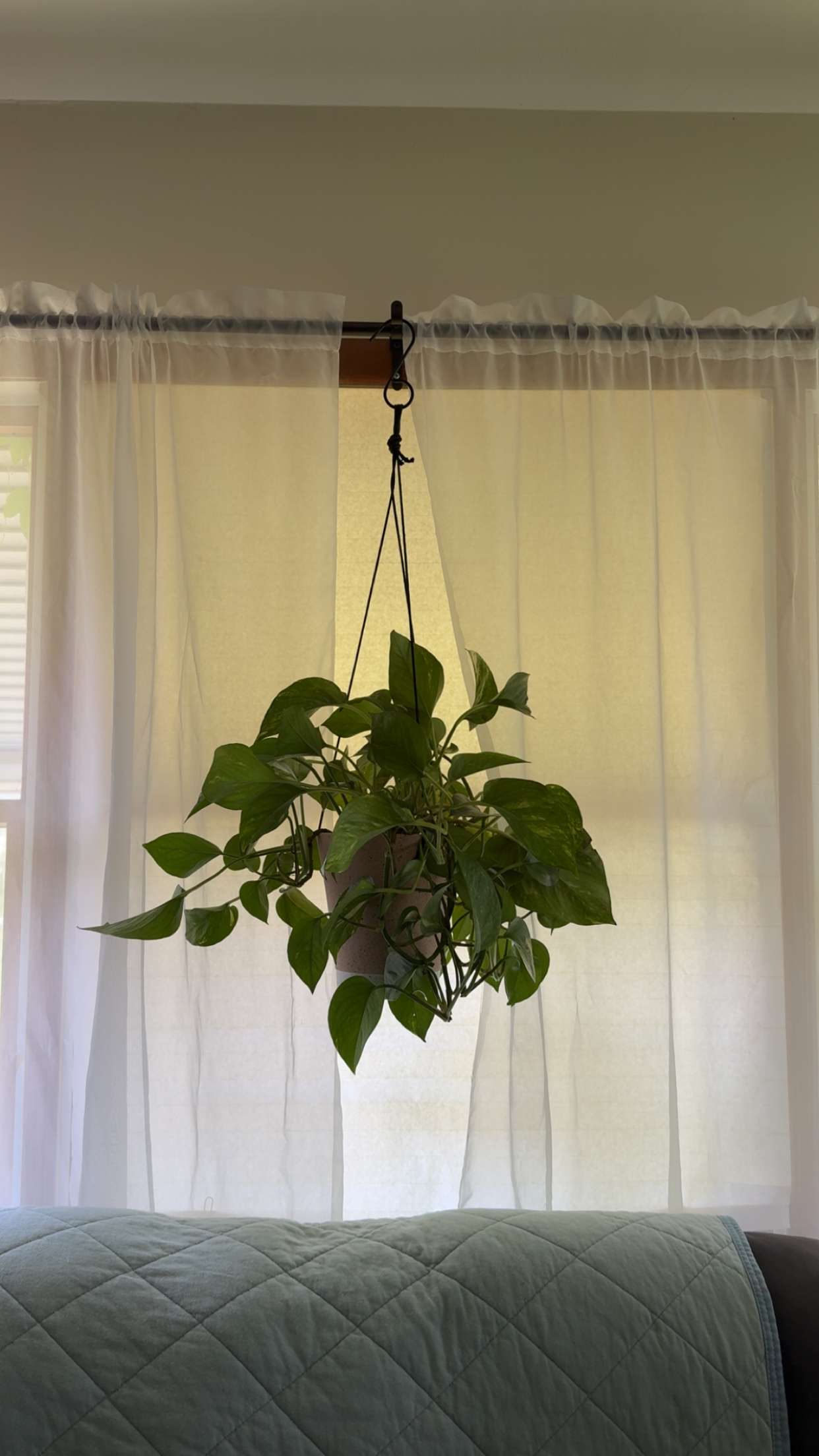 kayleedolisi snapchat image archive image