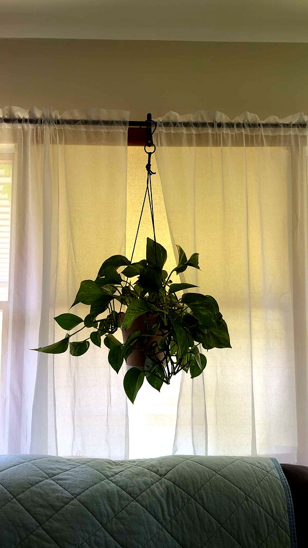 kayleedolisi image ~ Altpins