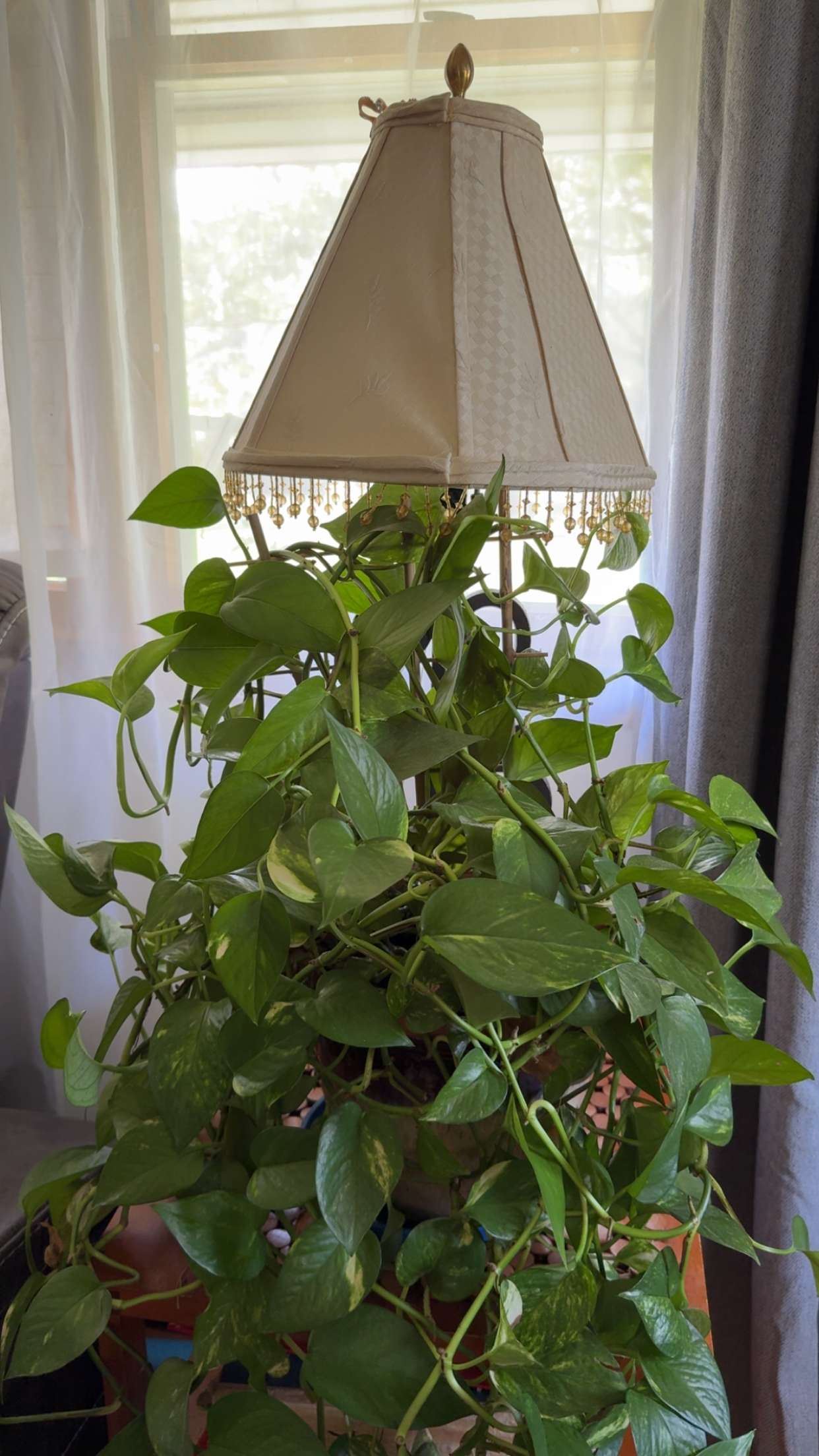 kayleedolisi snapchat image archive image