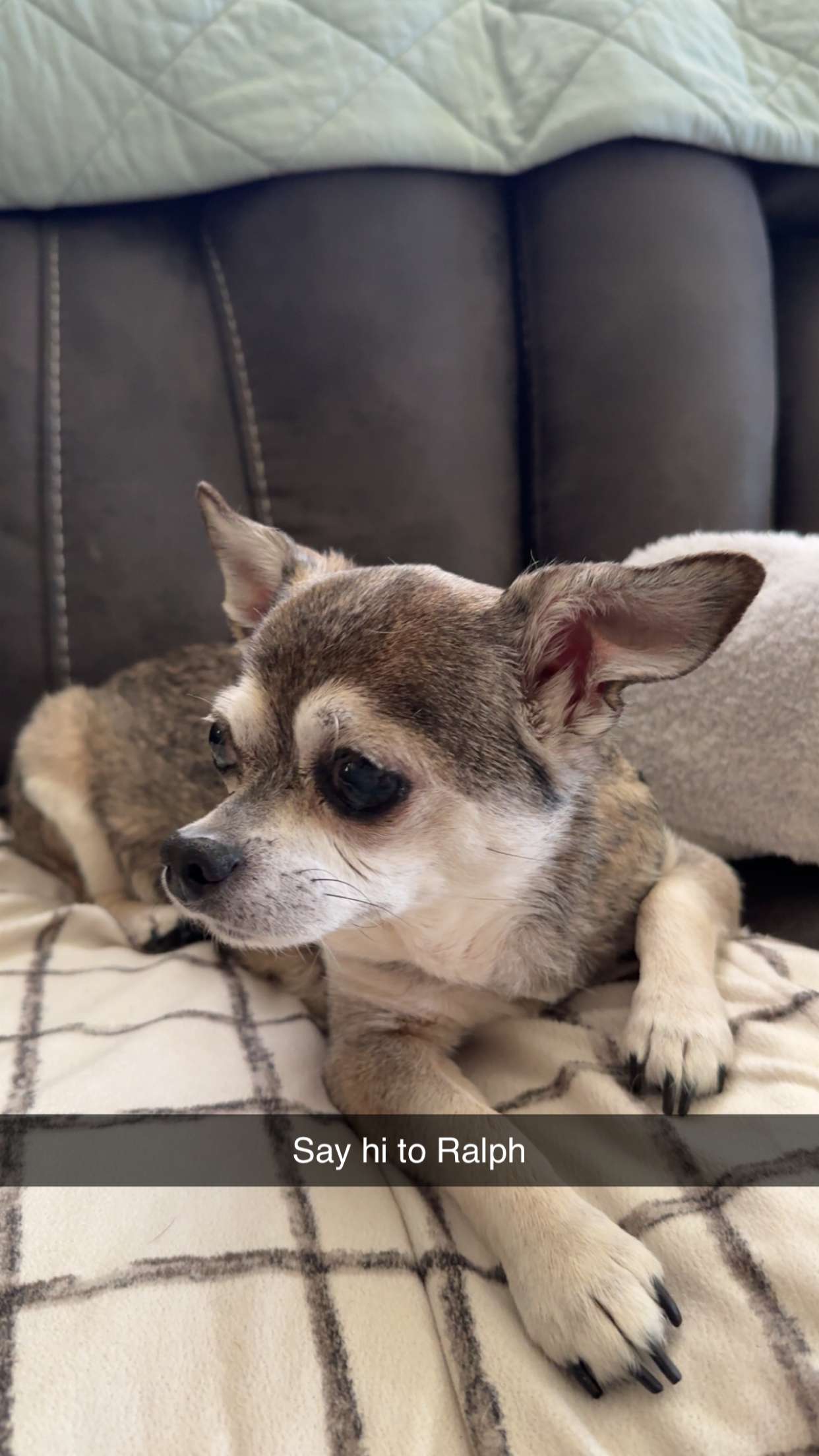 kayleedolisi snapchat image archive image