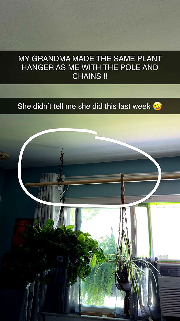 kayleedolisi image ~ Altpins